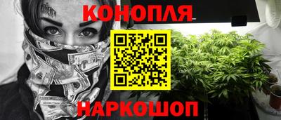 ешки Гатчина