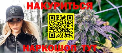 ешки Гатчина