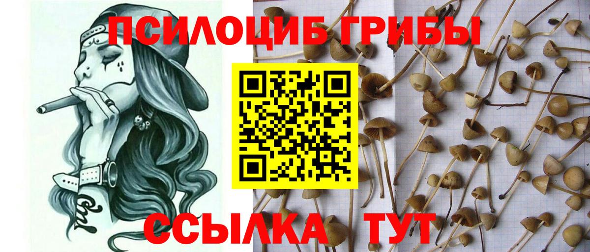 Галлюциногенные грибы мухоморы Новочеркасск