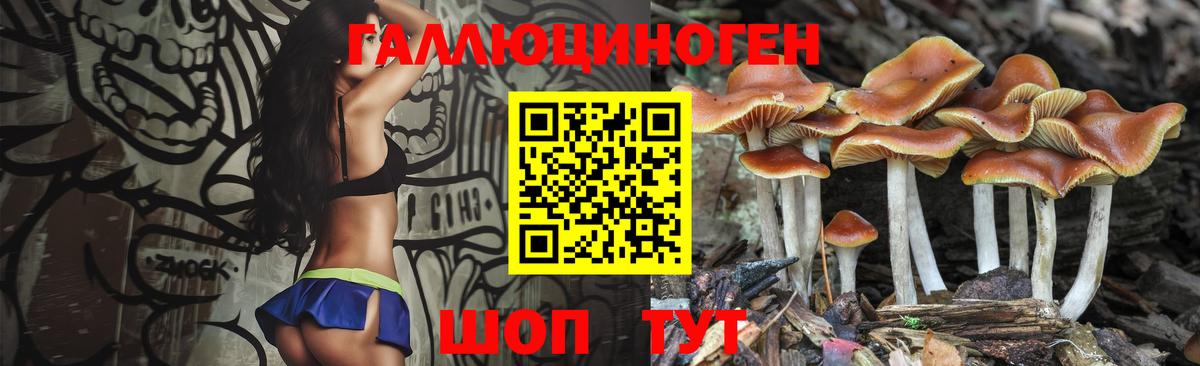 Новочеркасск  Галлюциногенные грибы Magic Shrooms  Вход с VPN 